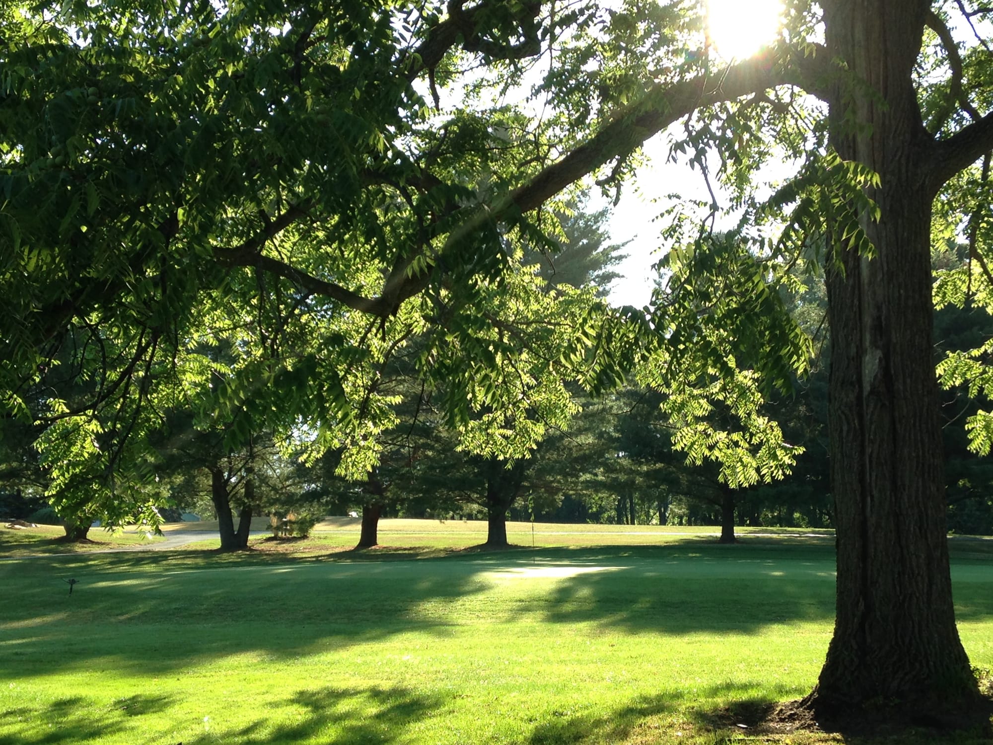 The Trumansburg Golf Course